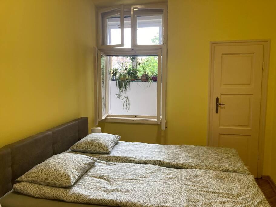 Ferienwohnung Oh Lola! Belgrad Exterior foto